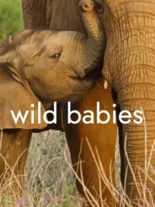 Μωρά της Άγριας Φύσης / Wild Babies