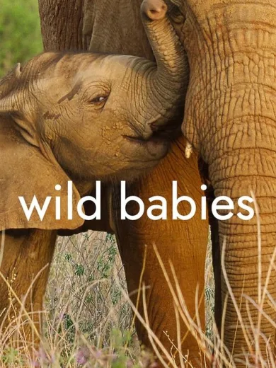Μωρά της Άγριας Φύσης / Wild Babies
