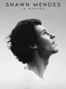 Shawn Mendes: In Wonder