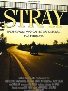 Stray