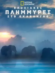 Εποχιακές Πλημμύρες στο Οκαβάνγκο / The Flood