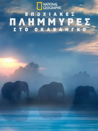 Εποχιακές Πλημμύρες στο Οκαβάνγκο / The Flood