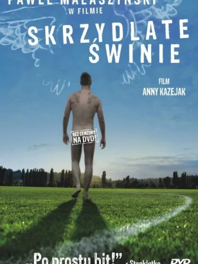 Skrzydlate świnie