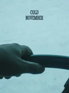 Nëntor i ftohtë