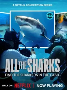 All the Sharks