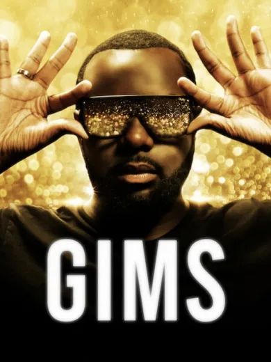 GIMS: On the Record