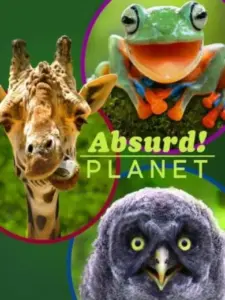 Παράδοξος Πλανήτης / Absurd Planet