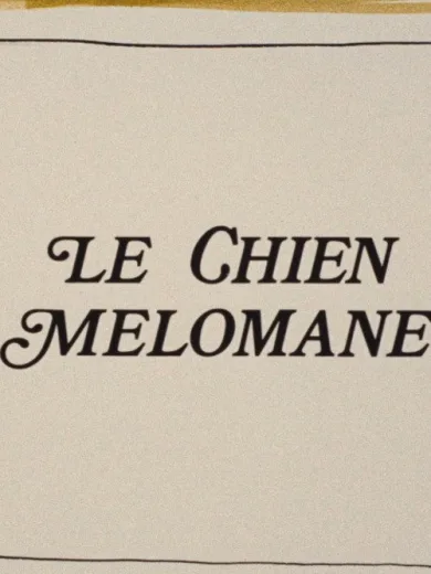 Le Chien mélomane