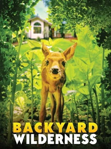 Backyard Wilderness