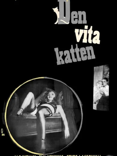 Den vita katten