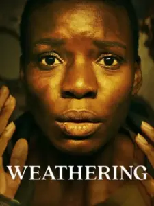 Φθορά / Weathering