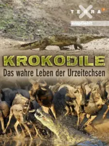 Krokodile – das wahre Leben der Urzeitechsen