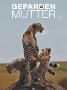 Gepardenmutter