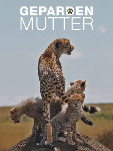 Gepardenmutter