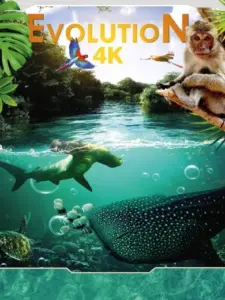 Evolution 4K