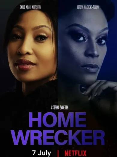 Home Wrecker