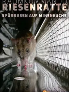 Räumkommando Riesenratte – Spürnasen auf Minensuche