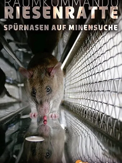 Räumkommando Riesenratte – Spürnasen auf Minensuche