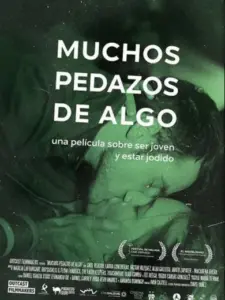 Muchos pedazos de algo