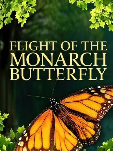Flight of the Monarch Butterfly
