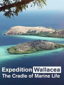 Wallacea – Expedition zur Wiege der Meeresfauna