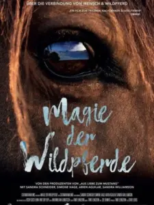 Magie der Wildpferde