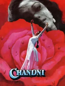 Chandni
