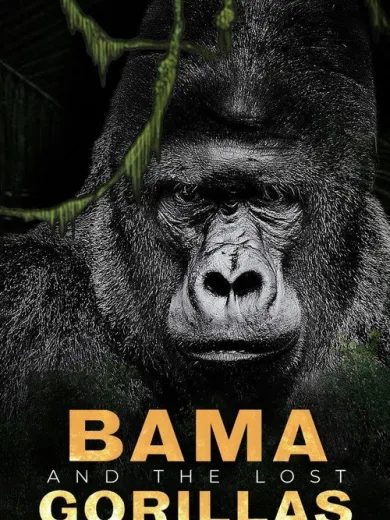 Bama, der Gorillamann – Abenteuer in Kamerun
