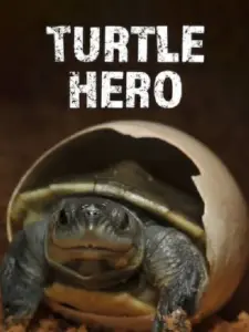 Turtle Hero