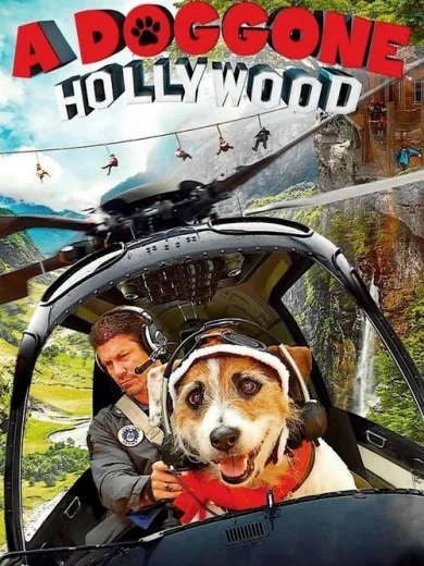 A Doggone Hollywood