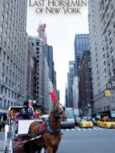 The Last Horsemen of New York