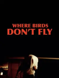 Where Birds Don’t Fly