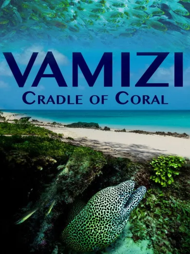Vamizi Cradle of Coral
