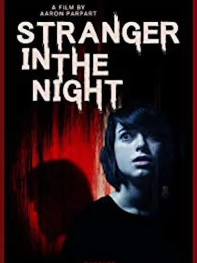 Ξένος μέσα στη νύχτα / Stranger in the Night