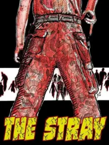 The Stray