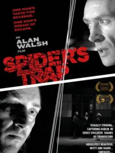 Spiders Trap