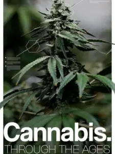 Cannabis: Through the Ages