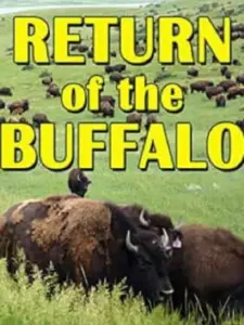 The Return of the Buffalo: Restoring the Great American Prairie