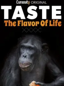 Taste: The Flavor of Life