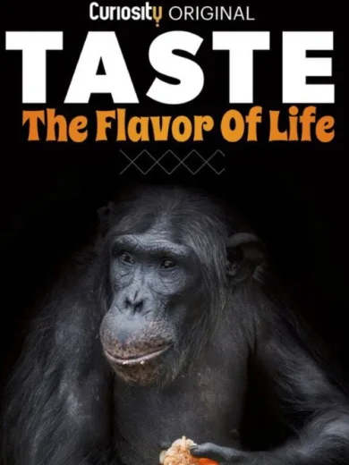 Taste: The Flavor of Life