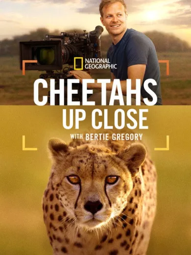Cheetahs Up Close with Bertie Gregory