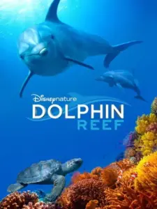 O Ύφαλος των Δελφινιών / Dolphin Reef