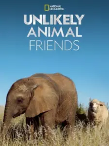 Unlikely Animal Friends