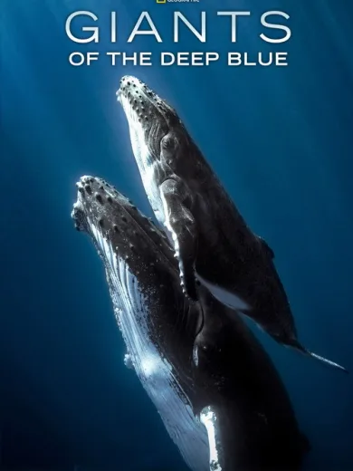 Giants of the Deep Blue