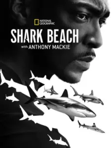 Shark Beach with Anthony Mackie