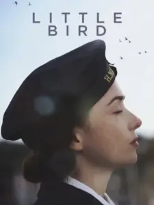 Little Bird