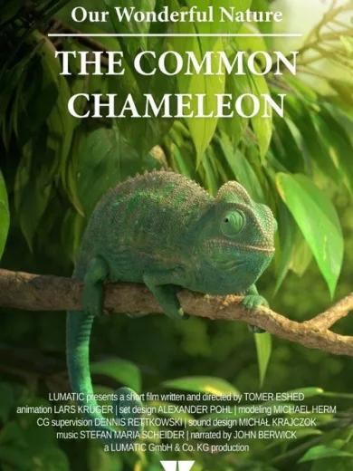 Our Wonderful Nature – The Common Chameleon