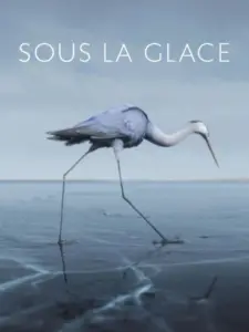Sous la glace