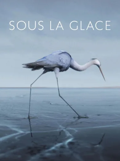 Sous la glace
