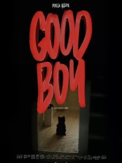 Good Boy